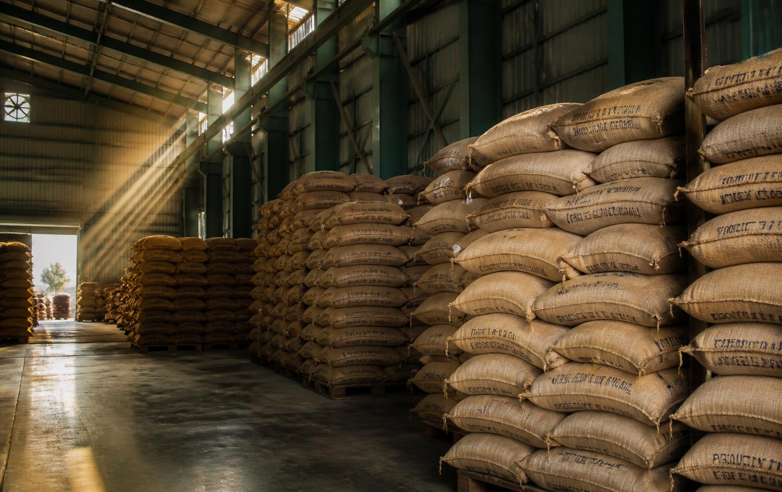 Warehouse stacked with export sacks of grain
